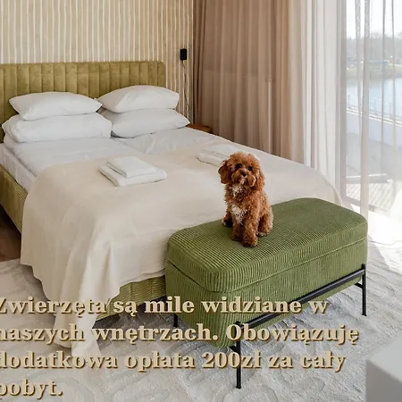 Апартаменты Reymonta 15 Surfingbird *